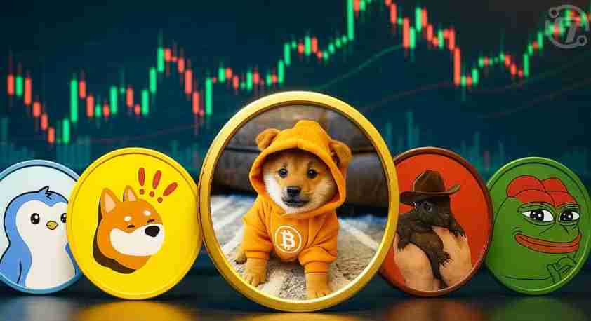 Dogecoin,云采矿和风险警报:导航模因雷区